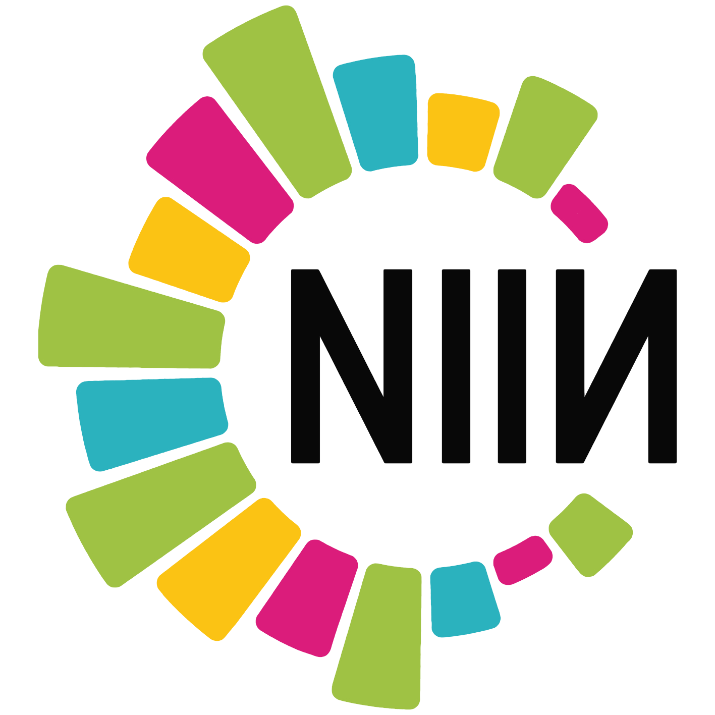 Nachhaltig informiert - Interkulturelles Netzwerk (NIIN)
